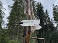 image 67514881