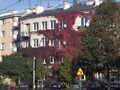 IMG 20211004 141229