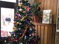 IMG 1622 1