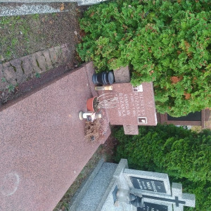 Szkolne zaduszki