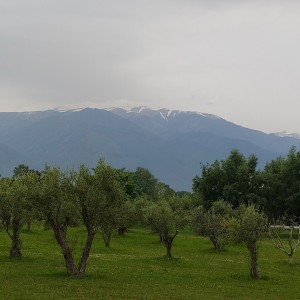 Geodeci na praktykach w Grecji