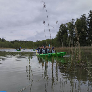 Spływ kajakowy