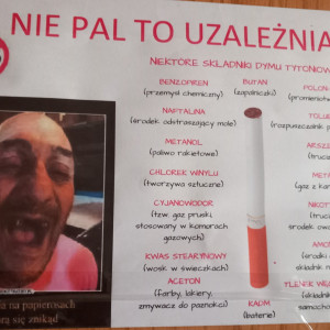 31 MAJA TO ŚWIATOWY DZIEŃ BEZ TYTONIU