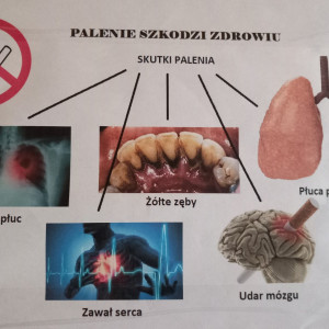 31 MAJA TO ŚWIATOWY DZIEŃ BEZ TYTONIU