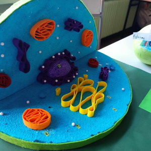 wystawa biologia