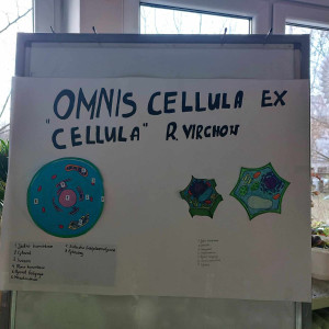 wystawa biologia