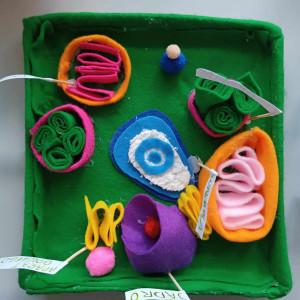 wystawa biologia