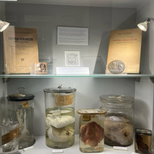 Uczniowie w Muzeum Historii Medycyny